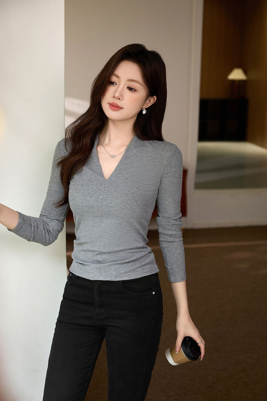 Casual Long Sleeve T-Shirt - Deep V-Neck Semi-Sheer Top