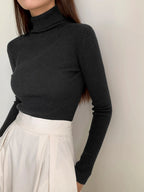 Basic Solid High Neck Long Sleeve Knit Sweater