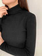 Basic Solid High Neck Long Sleeve Knit Sweater