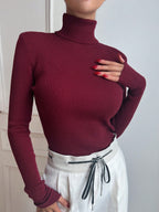 Basic Solid High Neck Long Sleeve Knit Sweater