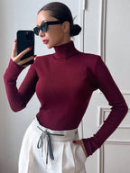 Basic Solid High Neck Long Sleeve Knit Sweater