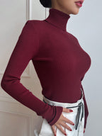 Basic Solid High Neck Long Sleeve Knit Sweater