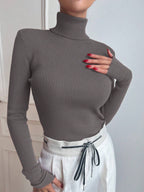 Basic Solid High Neck Long Sleeve Knit Sweater