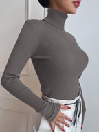 Basic Solid High Neck Long Sleeve Knit Sweater