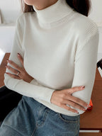 Basic Solid High Neck Long Sleeve Knit Sweater